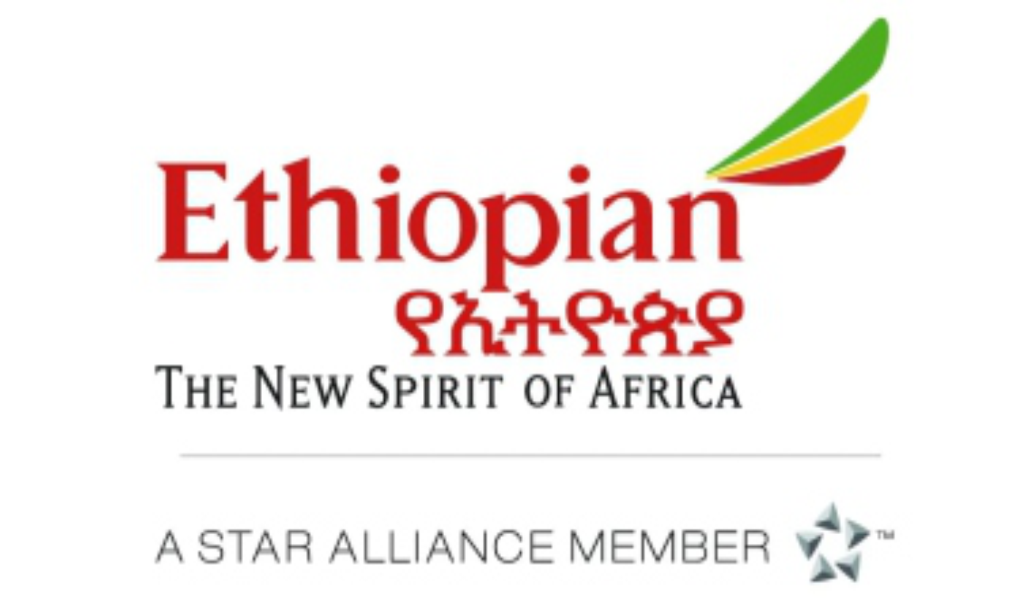 Partner Logo 3